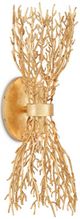 Currey & Company Aviva Stanoff Sea Fan Gold Gilt Wall Sconce-0