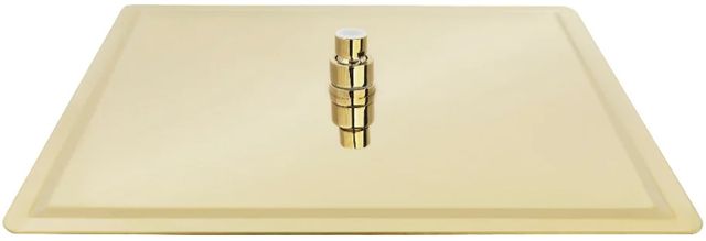 ZLINE Bliss Polished Gold 16" Shower Head-2