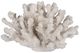 A & B Home White 5" Faux Coral Decorative Object-1