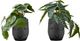 Monarch Specialties Inc. 2-piece 8" Artificial Plant with Black Pot-0