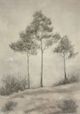 Signature Design by Ashley® Fenngrove Wall Art-1