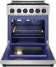 Thor Kitchen Gordon Ramsay Collection 30" Stainless Steel Pro Style Liquid Propane Range with Precision Knob Control in Black Trim-1