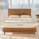 Avocado Green 11" Wrapped Coil Medium Tight Top Twin Mattress in a Box-1