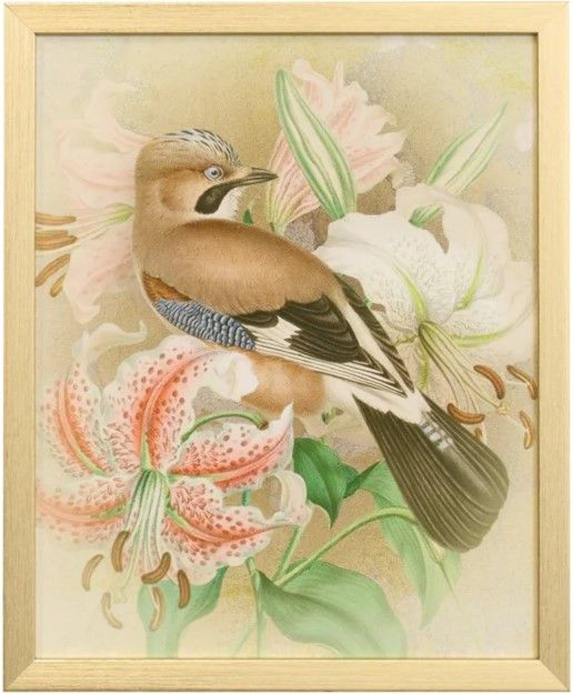 Stylecraft Tamara Day for Stylecraft Naturalist Archive I Wall Art-0