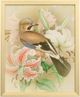 Stylecraft Tamara Day for Stylecraft Naturalist Archive I Wall Art-0