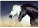 YHD Free Motion Wall Art-0