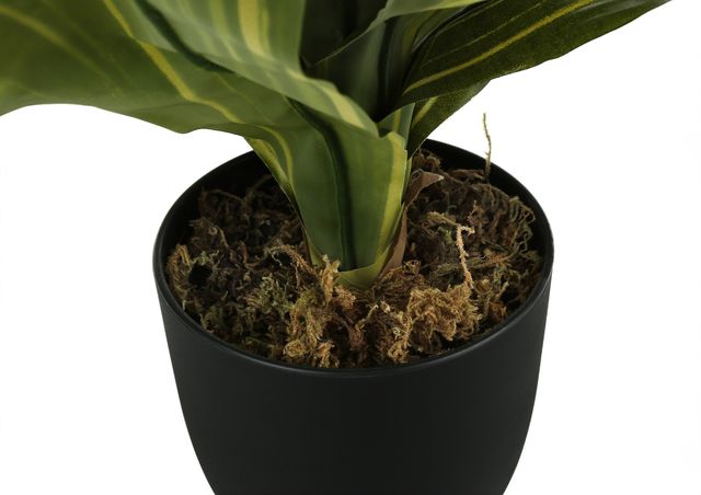 Monarch Specialties Inc. Green/Black 17" Artificial Potted Dracaena-1