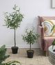 A & B Home Green 42.5" Artificial Olive Tree with Fruit-5