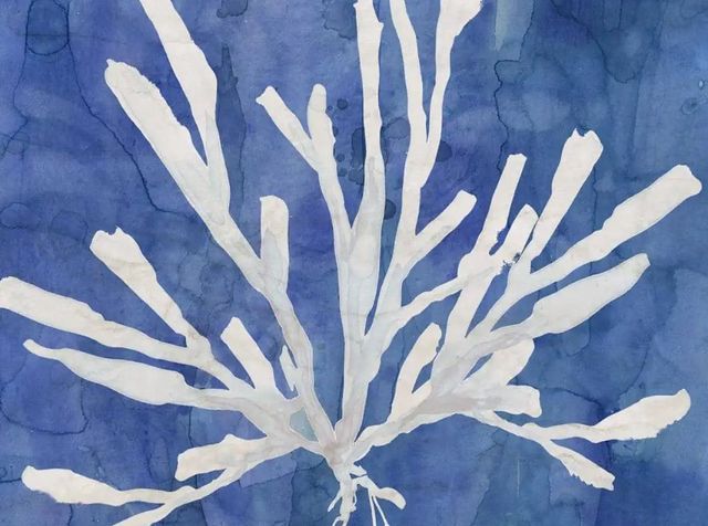 Classy Art Coastal Washes Coral I by Carol Robinson Wall Art-1