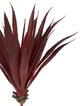A & B Home Burgundy Faux Phormium Stem-1