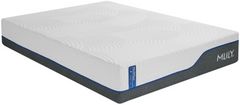 MLILY® Wellflex 3.0 Memory Foam 12" Plush Tight Top Queen Mattress in a Box