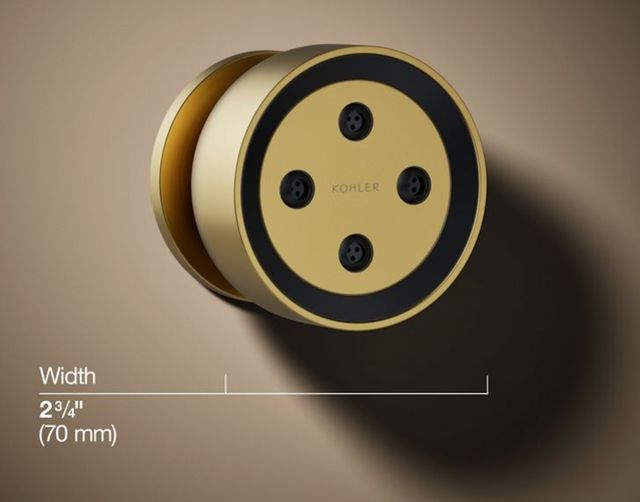 KOHLER® Statement® Vibrant Brushed Moderne Brass 1.75 GPM Round Single-Function Body Spray-2