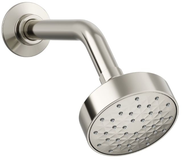 KOHLER® Awaken® G90 Vibrant Polished Nickel 1.75 GPM Single-Function Showerhead-0