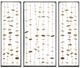 Olliix by Madison Park Signature Gold Set of 3 Clement Metal Wall Decor-0