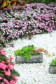 A & B Home Nickel Log Planter with Mushroom-5