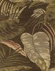 KAS Rugs Havana Mocha Rainforest 5'x8' Rug-2