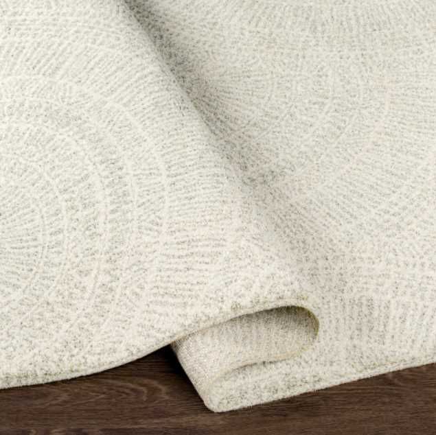 Surya Gavic Cream 4'x6' Area Rug-4