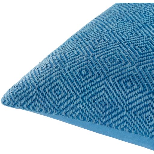 Surya Camilla Sky Blue 18"x18" Toss Pillow with Down Insert-1