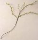 Magnolia Home by Joanna Gaines Green Leafy Bud Branch-0
