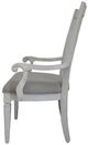 ACME Furniture 2-Piece Katia Light Gray/Weathered White Dinning Arm Chair Set-4