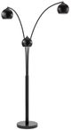 Renwil® Folia Matte Black Floor Lamp-1