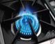 Capital Cooking Precision 48" Freestanding Gas Range with 4 Open Burners-2