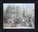 Classy Living Silent Frosted Grove Framed Wall Art-0