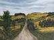 StyleCraft So Many Roads VI Wall Art-1
