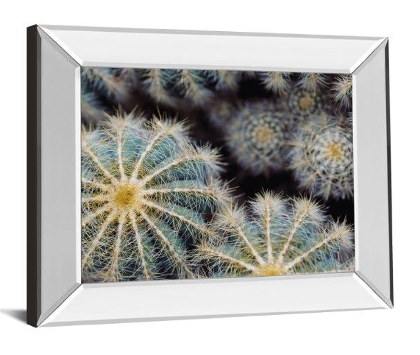 Classy Art Namib by Irene Suchocki Mirrored Frame Wall Art-1