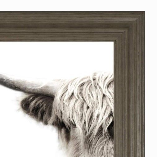 Classy Art Highland Cattle by Danita Delimont Wall Art-1
