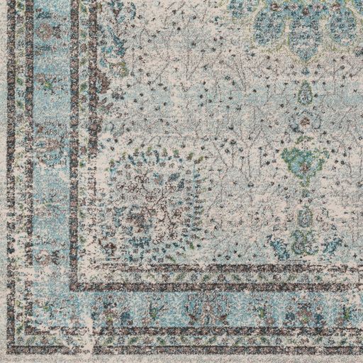 Surya Aberdine Blue 2'x3' Throw Rug-4