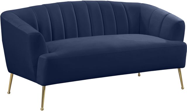 Meridian Furniture Tori Navy Velvet Loveseat-0