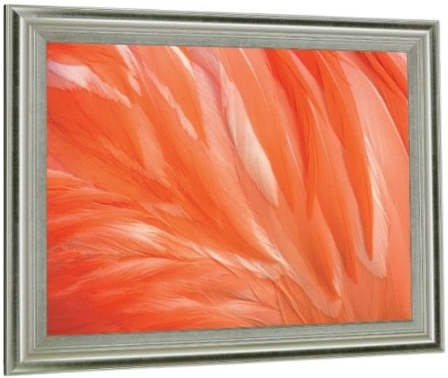 Classy Living Citrus Plumage Wall Art-2