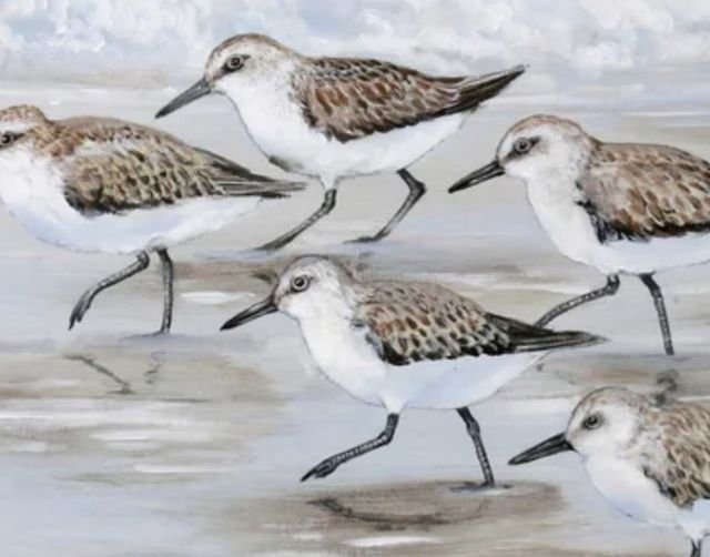 Stylecraft Sandpipers I Light Blue/Taupe/White Wall Art-1