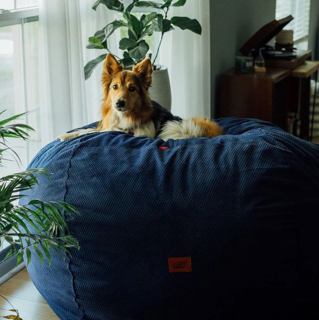 CordaRoy's® Original Navy Chenille King Bean Bag Chair-3