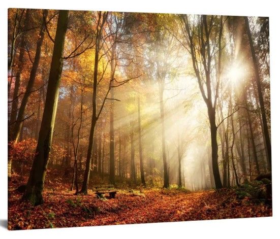 Classy Art Style 15 Floating Tempered Glass with Foil Wall Art-1