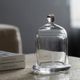 A & B Home Clear 4" Lidded Cake Plate-1