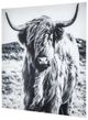 YHD Highland Wall Art-2