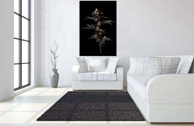 Classy Art Cann 2 Wall Art-3