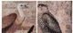 A & B Home 2-Piece Black/Brown Love Birds Wall Art Set-1
