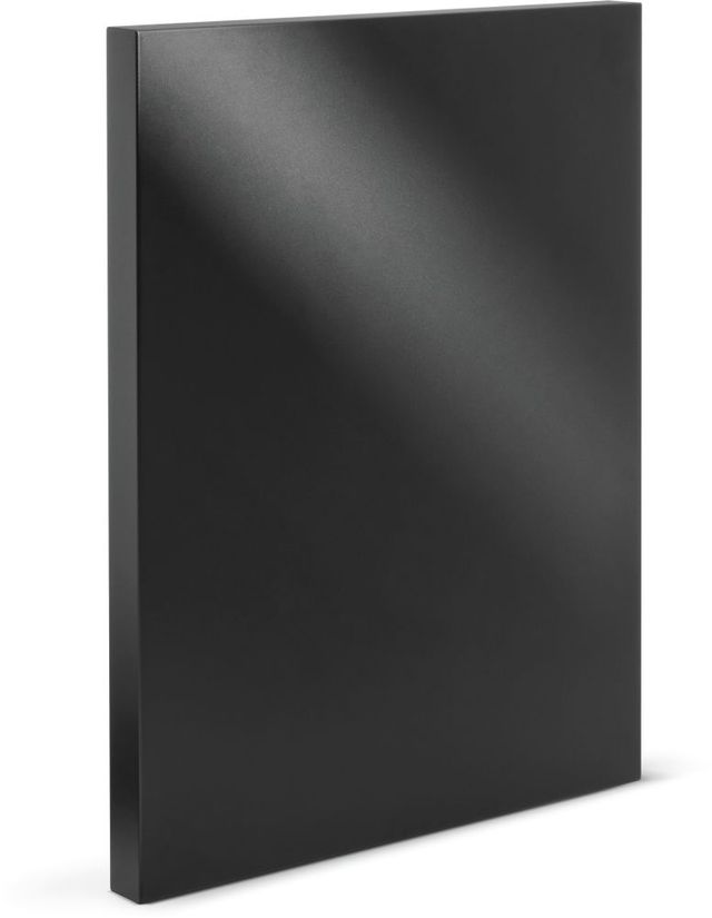Napoleon OASIS® Matte Black End Panel-2
