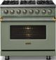 Viking® 5 Series 36" Eucalyptus Pro Style Dual Fuel (NG) Range with Brushed Brass Trim-2