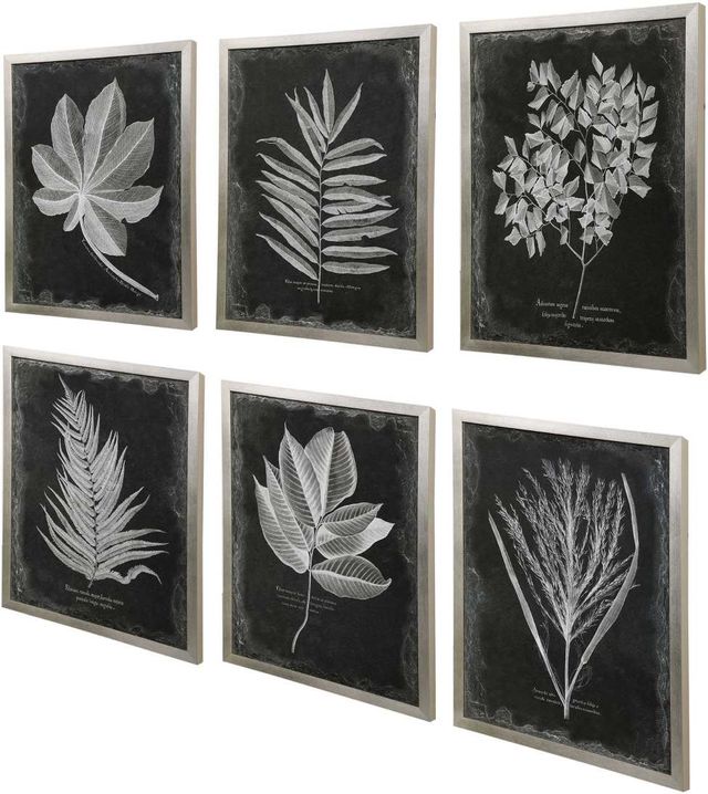 Uttermost® 6-Piece Foliage Framed Prints Set-2