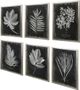 Uttermost® 6-Piece Foliage Framed Prints Set-2