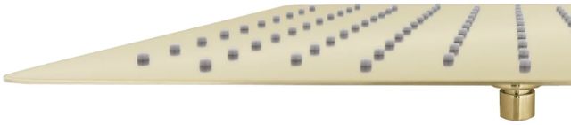 ZLINE Bliss Polished Gold 16" Shower Head-3