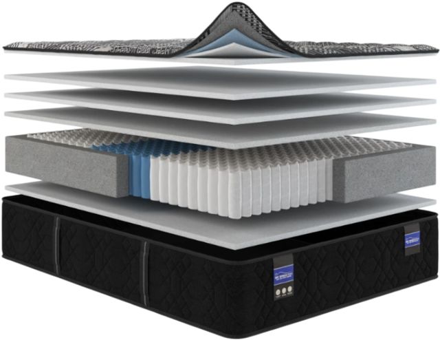 Spring Air® Back Supporter Francesca 13.5" Hybrid Medium Tight Top Queen Mattress-2
