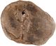 Dovetail Furniture Arik Light Natural Coffee Table-2