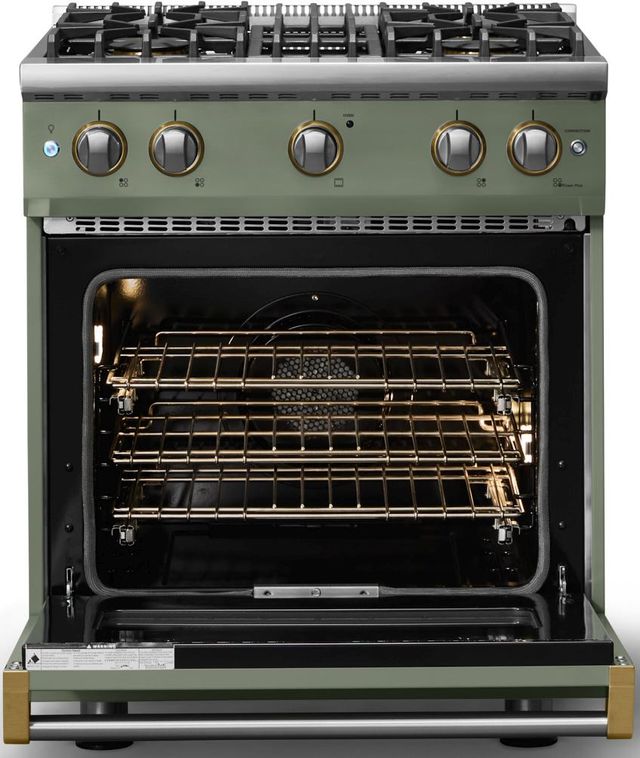 Viking® 5 Series 30" Eucalyptus Pro Style Gas (LP) Range with Brushed Brass Trim-1