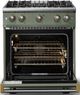 Viking® 5 Series 30" Eucalyptus Pro Style Gas (LP) Range with Brushed Brass Trim-1