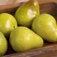 A & B Home Bartlett Faux Pears in Plastic Gift Box-1